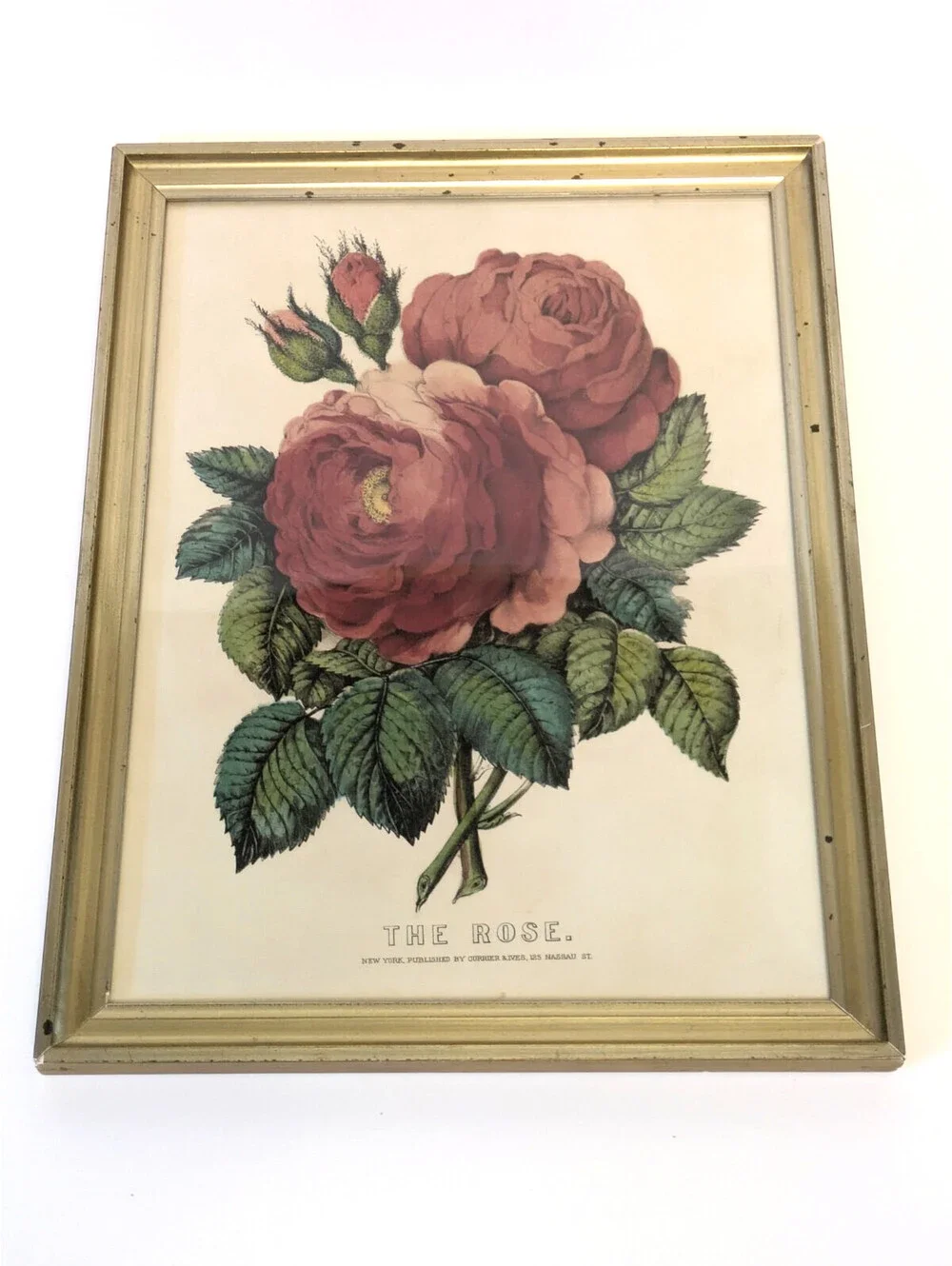 Antique Currier & Ives Hand Colored Lithograph The Rose Floral Print Gold Frame